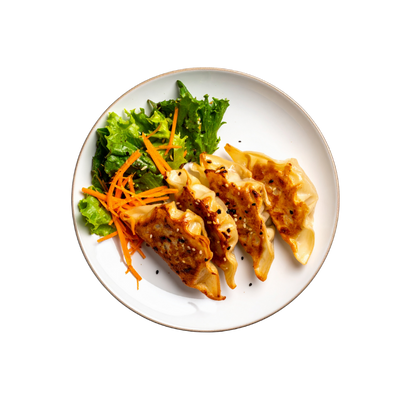 Gyoza poulet légumes (4)